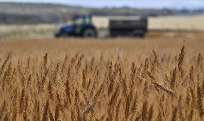 Tarımsal girdi fiyat endeksi arttı