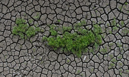 Toprak ve su kaybı, gıdayı ile geleceği tehdit ediyor