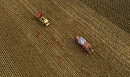 Tarım ÜFE yüzde 36,01 arttı