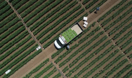 Tarımsal girdi fiyat endeksi arttı 