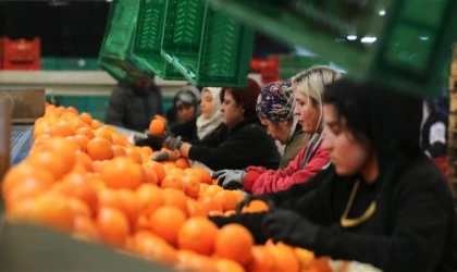 Kadın çalışanların toplam ihracattaki payı arttı