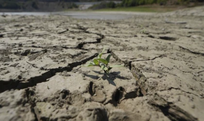 Kuraklığın gölgesinde tarım