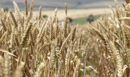 Karadeniz’de Gerilim Tırmanıyor 